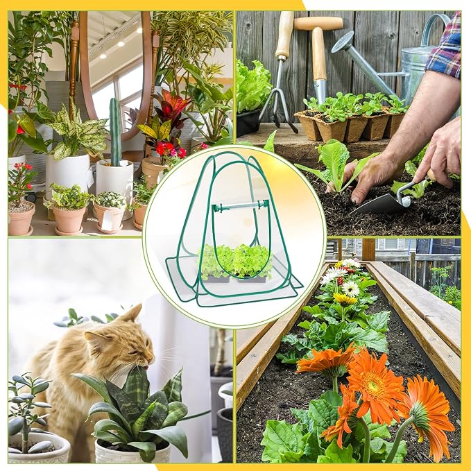 Pop Up Greenhouse Cover, Mini Greenhouse PVC Gardening Plant 3-Pack, Portable Small Green House for Indoor Outdoor, Sunshine Room Backyard Flow