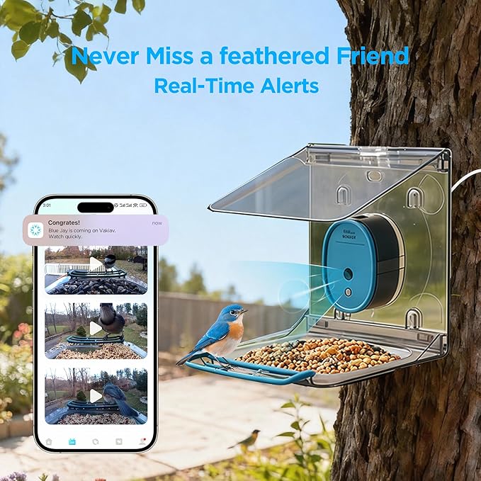 Smart Bird Feeder with Camera Solar Powered,2K UHD Video Live Stream,Easy Set Up,AI Bird Species Identification, Auto Capture Videos&5MP Photos,Instant Alerts,Gifts for Bird Lovers