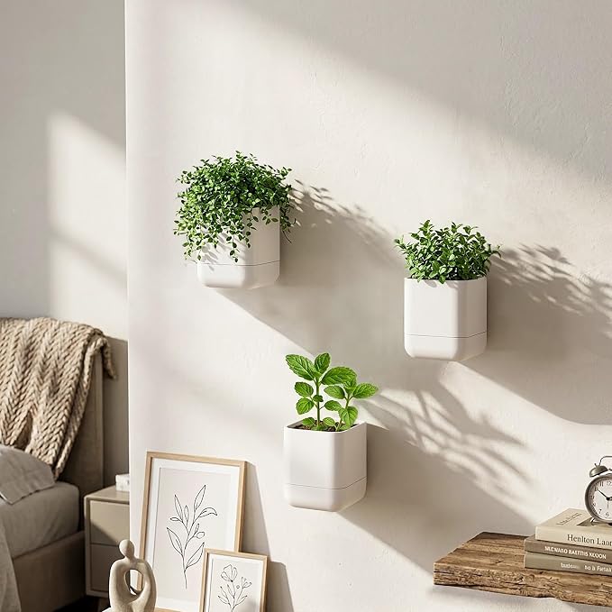 Phoenix Vine 3.5 Inch Wall Mounted Self-Watering Planter Pot for Indoor Houseplants and Herbs | Hanging Planter for Window Sills, Bathroom Walls, Home & Office Décor, Oatmeal, Set of 6, 01-A-G-6