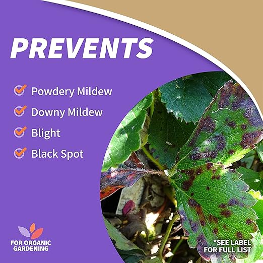 Bonide Captain Jack's Copper Fungicide, 32 oz Ready-to-Use Spray for Organic Gardening, Controls Common Diseases (Pack of 5)