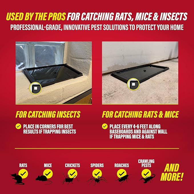 Catchmaster Rat & Mouse Glue Traps with Sticky Putty 6Pk, Large Bulk Glue Board, Rat & Mouse Traps Indoor for Home, Adhesive Plastic Tray for Snakes, Mice & Spiders, Pest Control for House & Garage