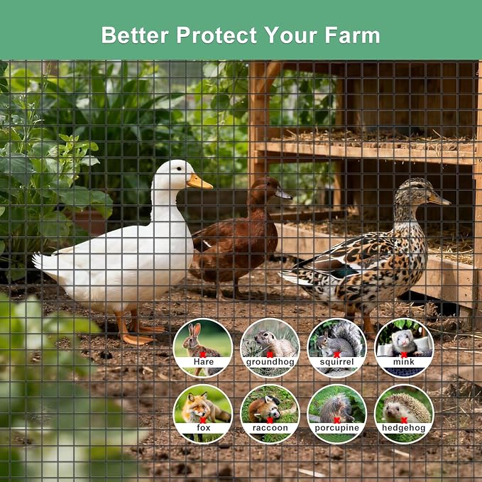 Galvanized Black Vinyl Coated Hardware Cloth | 1 Inch Mesh 17 Gauge 36"x100' |Rust & Resistant, for Chicken Coop, Rodent Proof, Tree Guard, Garden Plant Fencing, Pet Enclosures & Home Improvement