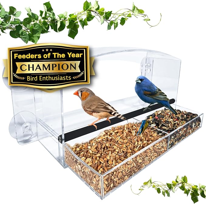 Nature Gear Acrylic Clear Window Bird Feeder with Strong Suction Cups, Removable Sliding Seed Tray, Weather-Resistant & Easy to Clean for Window Viewing, Dome