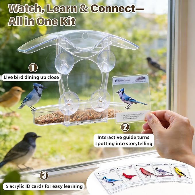 Window Bird Feeder with 5 Acrylic ID Cards - Clear Bird House for Outside with Removable Tray & Drain Holes - 4 Strong Suction Cups, Panoramic View for Wild Birds, Cat TV, Nature Gift