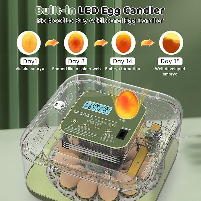 Incubators for Hatching Eggs 12 Egg Digital Egg Incubator Precision Auto Temp Humidity Control 6 Gear Adjustable Auto Turner Auto Stop Turning Hatching Days Display for Chicken Duck Goose Eggs (Green)