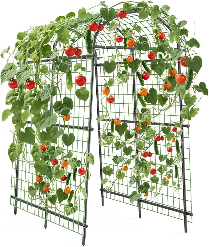 Metal Garden Arch Trellis, 7.6Ft Black for Raised Beds, Plant Support for Cucumbers & Climbing Vegetables with 7 Horizontal Pipe