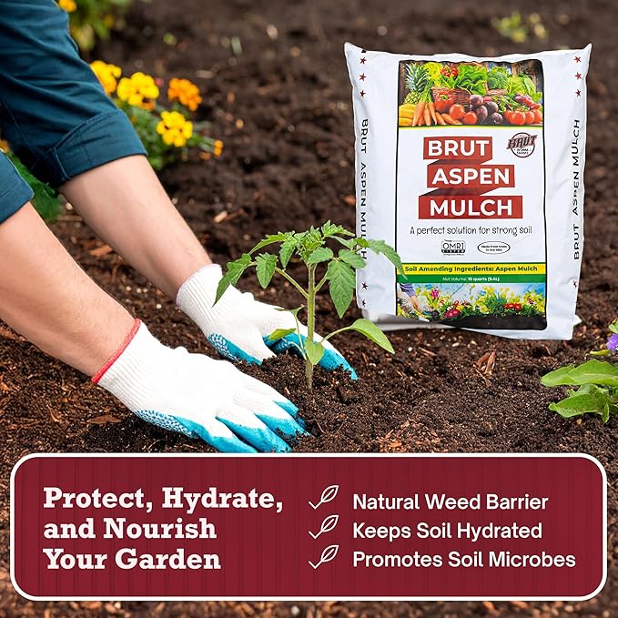 Brut Organic Aspen Mulch 10 QT – Natural Moisture Retainer & Root Protector – Odor-Free, Nutrient-Rich Bark Mulch for Landscaping, Garden Beds & Potted Plants