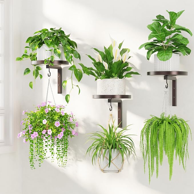 LASZOLA 3Pcs Wall Mount Plant Shelves with Hangers for Indoor Planters, Heavy Duty Metal Window Floating Flower Holders Stand for Kitchen Bathroom, Standard Bronze