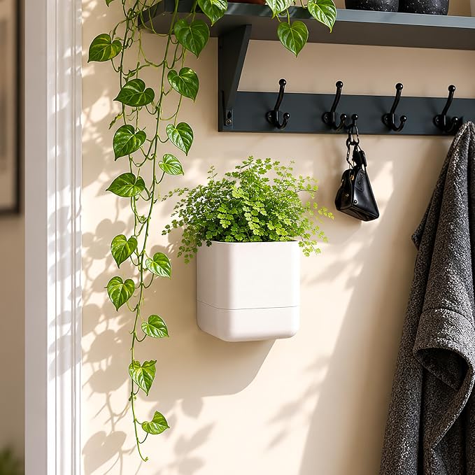 Phoenix Vine 4.5 Inch Wall Mounted Self-Watering Planter Pot for Indoor Houseplants and Herbs | Hanging Planter for Window Sills, Bathroom Walls, Home & Office Décor, Oatmeal, Set of 3, 01-B-G-3