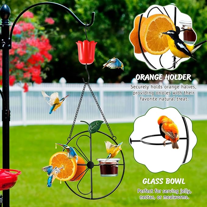 Baltimore Oriole Bird Feeder for Outdoors Oriole Feeder with Ant Moat & Glass Bowl & Ant Moat & Cleaning Brush, Metal Hanging for Jelly, Nectar, Mealworms & Orange Halves (Black,2 Pack)