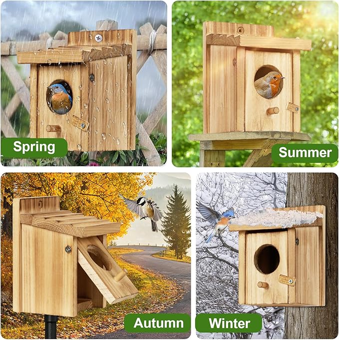 Small Bird House for Hummingbirds,Bird Houses for Outside,Humming Bird Houses for Outside,Outdoor Bird Box,Birdhouse,Bluebird House,Wooden Birdhouse with perches