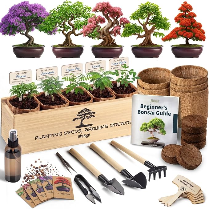 AVERGO Bonsai Tree Kit Deluxe - 5X Unique Japanese Bonzai Trees | Complete Indoor Bonsai Starter Kits for Growing Trees – DIY Gardening Gifts for Mother, Women & Men