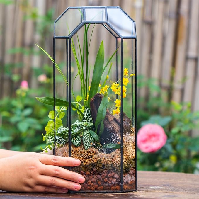 NCYP No Door Glass Geometric Terrarium for Plant, Succulent, Cacti - 5.5"x5.5"x12.8" Indoor Tall Octagon Glass Planter, Home Garden Office Decoration, Micro Landscape (Terrarium Only)