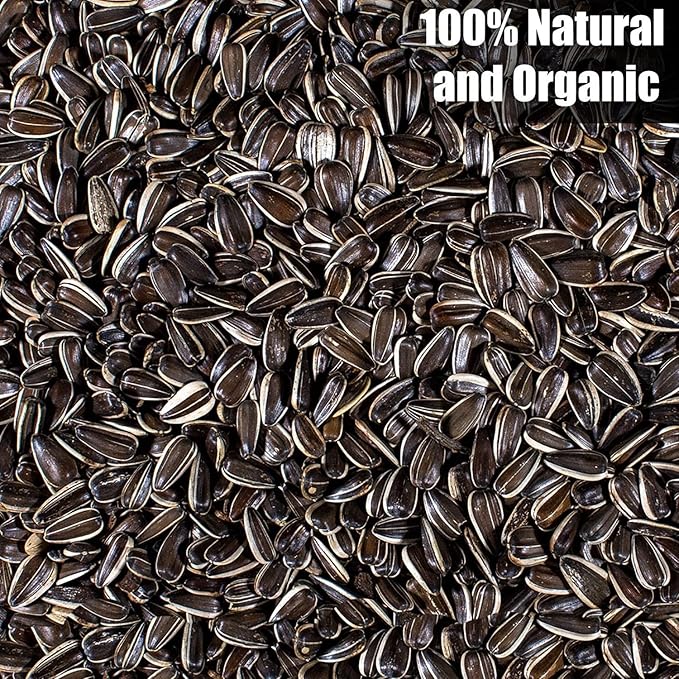 Old Potters Wildlife Striped Sunflower Seed for Wildlife Bird Feeding, Non-GMO and USA Small Farm Grown, 6 lbs