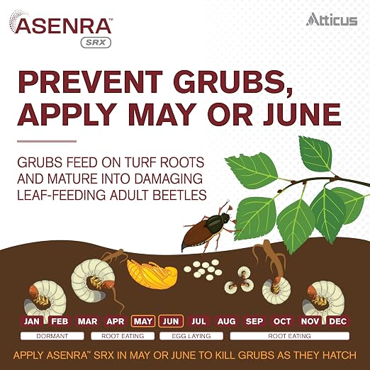 Atticus Asenra SRX (4 OZ) Liquid Grub Control for Lawns, Landscapes - 18.4% Chlorantraniliprole – Kills White Grubs, Caterpillars, Armyworms, Adult Beetles & More (Season-Long Control – 4-Months)