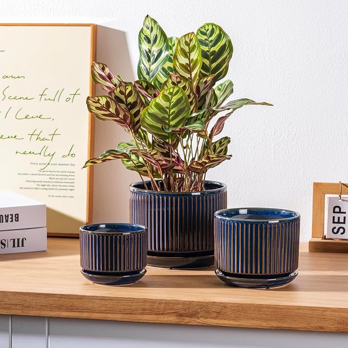SURE YUESI Ceramic Plant Pots Set of 3, Indoor Outdoor Planters with Drainage Hole and Saucer, Ceramic Flower Pots for Indoor Plants, 4.3+5.5+6.8 Inch, Home, Garden, Patio and Office, Glossy Blue