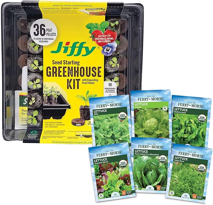 Jiffy Plant Germination Kit - Seedling Starter Trays with Seeds - 36 Cell 2 Pack - Plastic