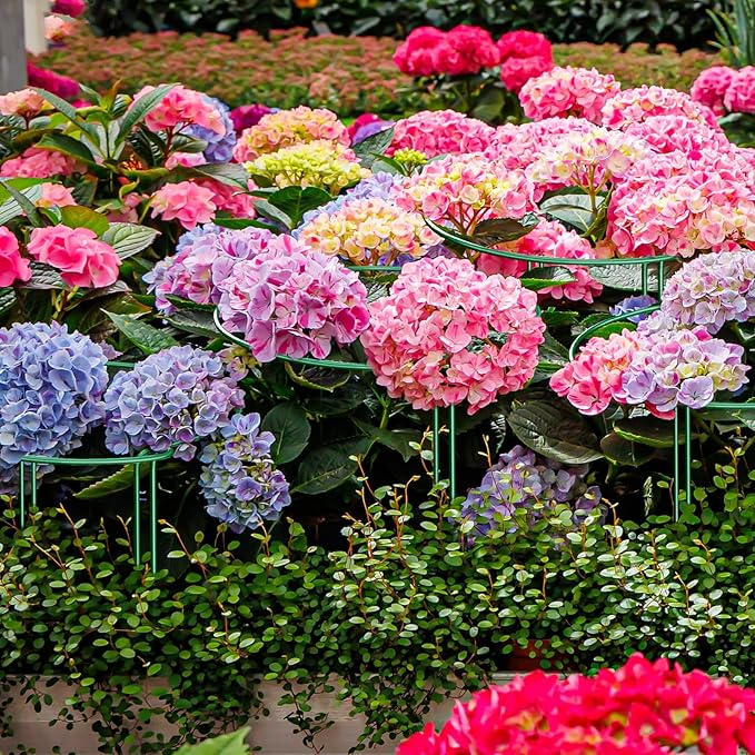 6-Pack 38.7” Plant Support Stakes, Steel Plant Cage & Peony Tomato Hydrangea Cage, Garden Stakes for Outdoor Plants, Heavy-Duty Plant Stakes, 16.7” Support + 22” Extension Tubes