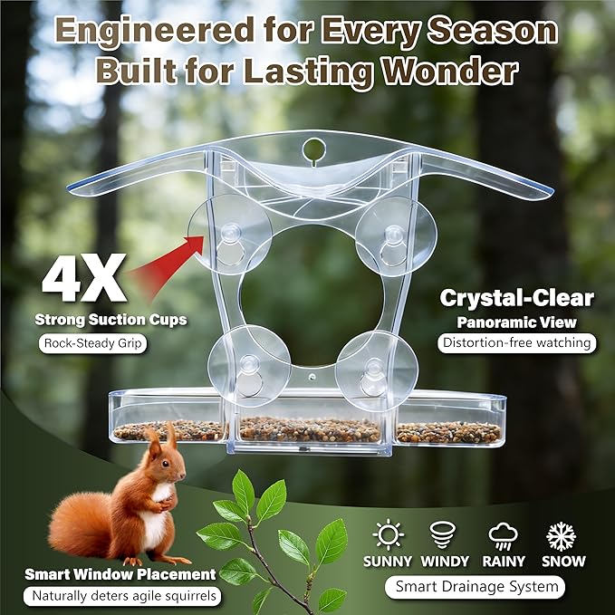 Window Bird Feeder with 5 Acrylic ID Cards - Clear Bird House for Outside with Removable Tray & Drain Holes - 4 Strong Suction Cups, Panoramic View for Wild Birds, Cat TV, Nature Gift