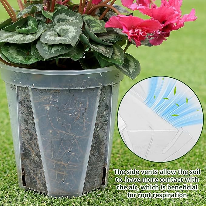 6/8/10/12 Inch Large Clear Nursery Deep Pots with Drainage Hole 12 Pack, Deep Plant Pots with Drainage for Seedling Flower Vegetable, Ideal for Hyacinths, Amaryllis, Reusable Deep Pots