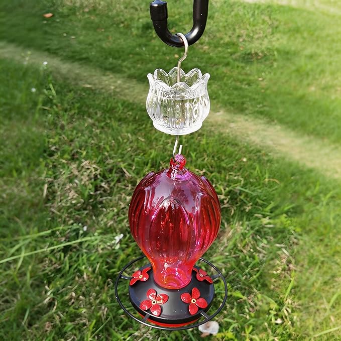 Glass Ant Moat for Hummingbird Feeder - 3 OZ Clear Tulip Insect Guard with Large Capacity