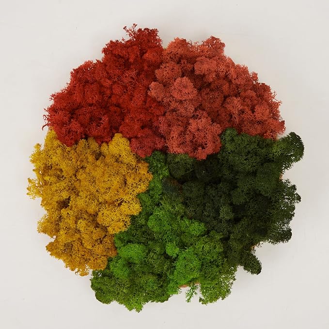 Preserved Reindeer Moss Natural Green DIY Kit Gardenning Art Wall Decor Florist Decor Easter Table Decor Wedding