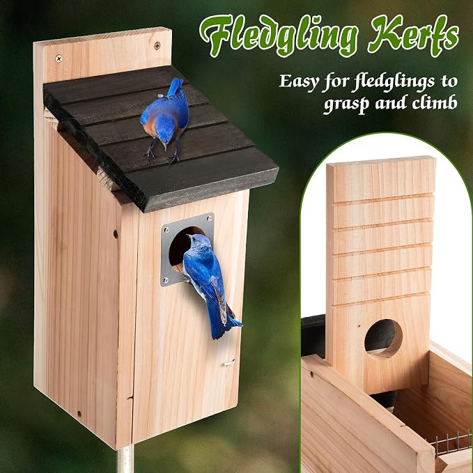 Dreyoo 3 Pack Bluebird Box Houses for Outside,1-1/2'' Entrance Hole Wooden Bird Houses with Metal Guard, Secure Latch,Fledgling Grooves,Air Vents for Bluebird Wren Swallow (Black Roof,Wood Body)