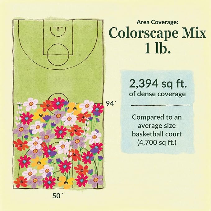 Ferry Morse Flower Seeds - Colorscape Wildflower Mix, Non-GMO, Cut Flower Mix, Full Sun - 1 lb