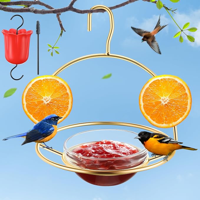 Metal Oriole Feeders for Outdoors Hanging with Ant Moat and Fruit Holder, Oriole Feeder with Glass Bowl, Easy to Disassemble and Wash, Bird Feeder for Garden, Outdoor, Gift (1 Pack, Gold)