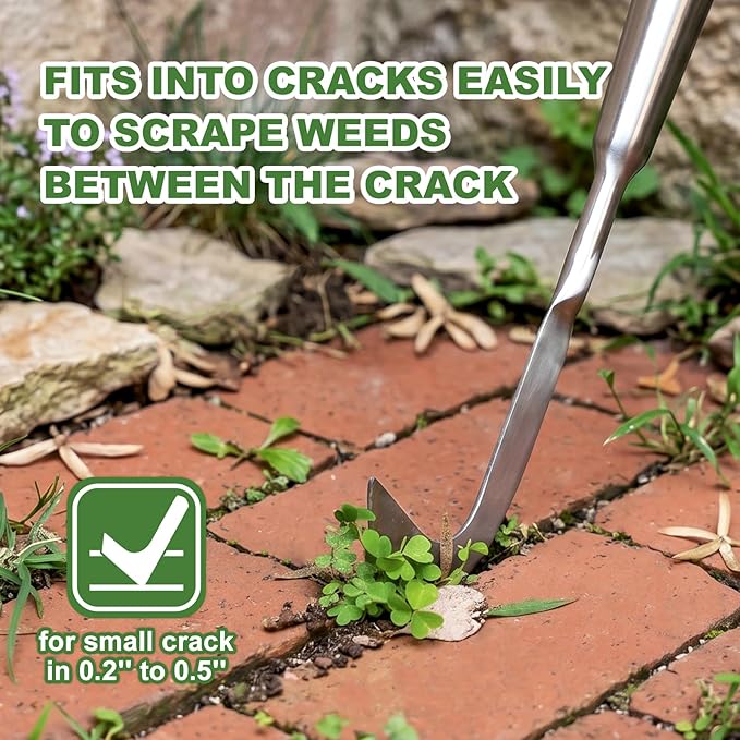 Haliaeetus Long Handle Crack Weeder Tool, 62'' L-Shape Stainless Steel Crevice Weeding Tool, Comfortable Wood Handle Paver Weeder, Sidewalk Weed Removal Tool for Driveway, Bricked Patio,Terrace Paving