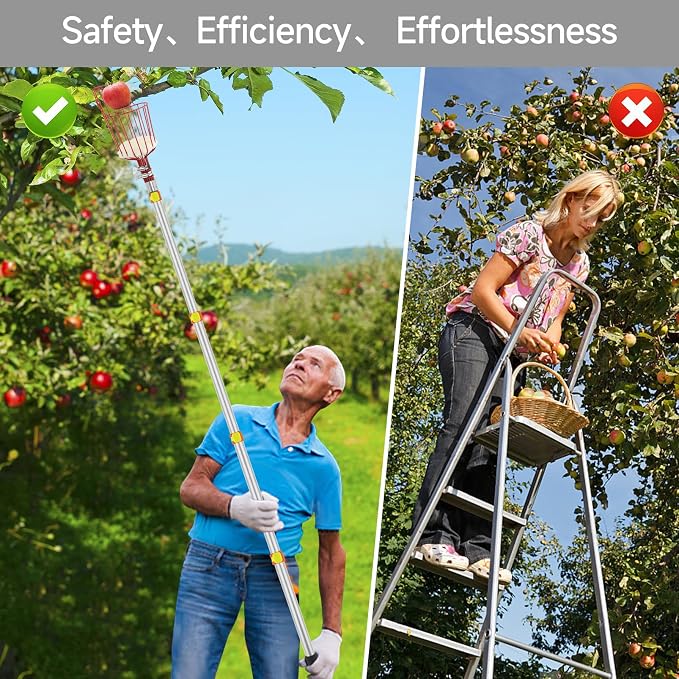 SANLIKE Fruit Picker Pole with Basket 12FT Adjustable Higher Lightweight Fruit Grabber Tool with Extension Pole for Apple Avocado Lemon Peach Pear Mango and Other Fruit Tree Harvester