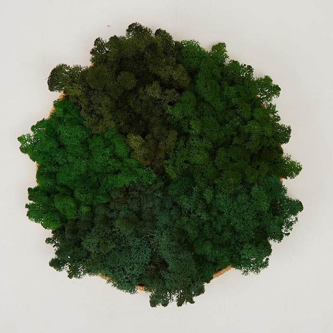 Preserved Reindeer Moss Natural Green DIY Kit Gardenning Art Wall Decor Florist Decor Easter Table Decor Wedding