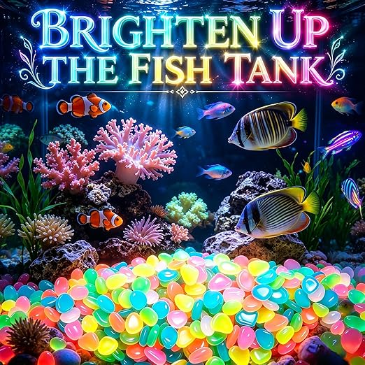 1000Pcs Glow in The Dark Stones Outdoor, Mixed Colors for Landscaping | Mixed Color,Glow in The Dark for Garden & Fish Tank,Non-Toxic Resin,Rechargeable by Sunlight