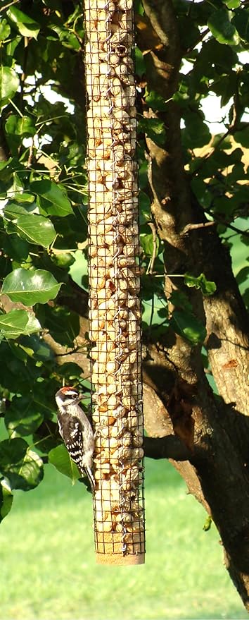Backyard Birds Unlimited Cedar Whole in-Shell Peanut Outdoor Hanging Wild Bird Feeder Made in the USA-Large 42" Inch