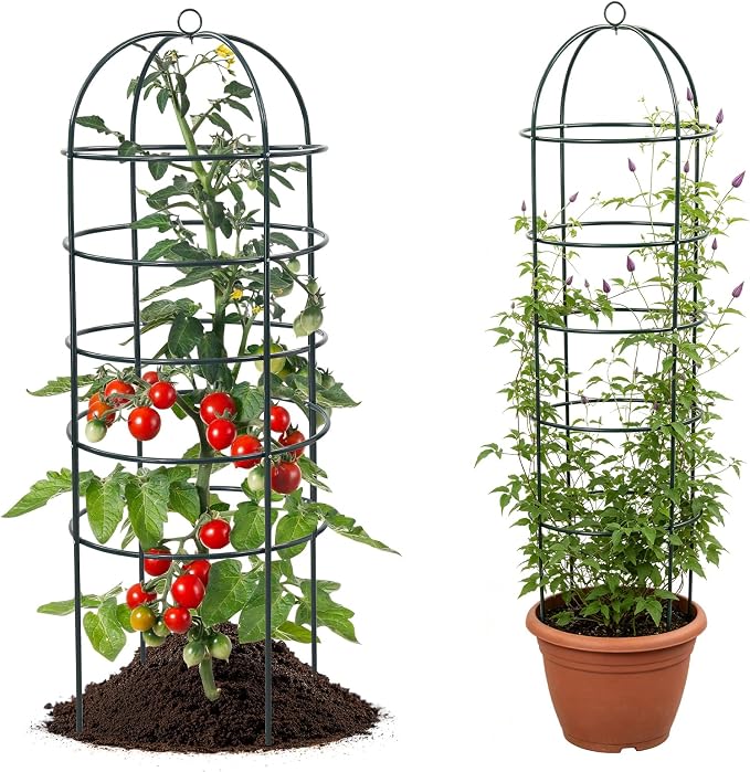 Trellis for Climbing Plants Outdoor, 2Pcs 75" Tall, 21" Dia, Heavy Duty Metal Garden Trellis Tower Potted Cages for Flowers Fruits Vegetable Cucumber Tomato Rose Clematis Pea Bean Raised Bed Trellises