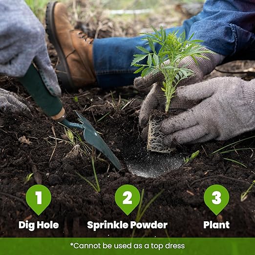 Big Foot Probiotic Root Boost Water Soluble Powder For Established Plants and Transplants - GROW ROOT SIZE, Increase Nitrogen, Grow New Plants from Cuttings, Pea Inoculant - 5 Ounces