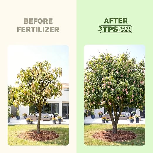 Mango Tree Fertilizer – Liquid Plant Food for More Fruit, Stronger Blossoms & Healthy Tree Growth, 32 oz
