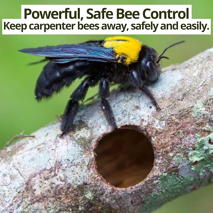 Donaldson Farms Carpenter Bee Spray – Wood Boring Bee Spray for Sheds, Decks & Outdoor Wood – Subtle Foaming Formula, Deep Reach Precision Nozzle – Peppermint & Clove Oil – 16 oz