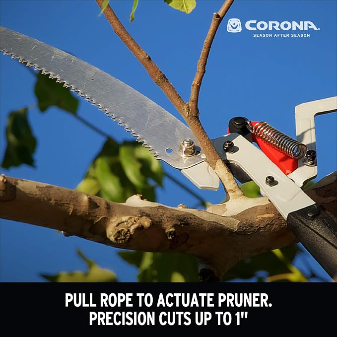 Corona tools TP 4210 DualLink Tree Saw and Pruner, 10 Feet,Red