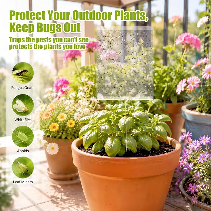 100 Pcs Gnat Sticky Traps for Plants, Transparent Double Sided Indoor Outdoor Pest Control for Fungus Gnats, Fruit Flies, Whiteflies, Aphids & Leaf Miners, Includes 10 Card Clips & 100 Twist Ties