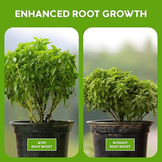 Big Foot Probiotic Root Boost Water Soluble Powder For Established Plants and Transplants - GROW ROOT SIZE, Increase Nitrogen, Grow New Plants from Cuttings, Pea Inoculant - 5 Ounces