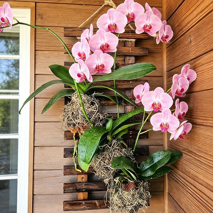 Mulctun 2 Pcs Wall Planters - 11.4"W x 23.62"H Wooden Wall Planters for Indoor Outdoor Plants,Hanging Wood Wall Trellis,Wall Mounted Plant Holder for Orchids,Succulent,Air Plants,Hanging Pots Display