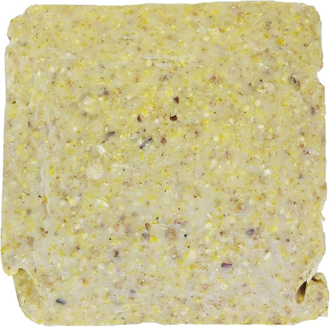 ST. ALBANS BAY SUET PLUS Suet Cake Variety Packs | 11 oz. Wild Bird Suet Cakes | (Pecan, 10 Pack)