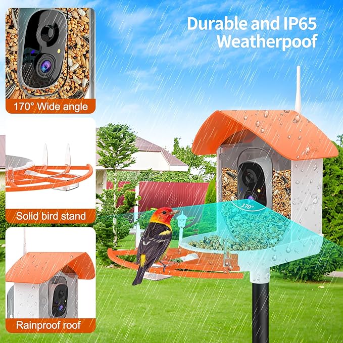 Bird Feeder with Camera,Smart Bird Feeder Camera with Solar Powered,AI Identify Species,Birds Watching,Auto Record FHD 2K Feathered Visitor Video in Backyard,Ideal Gifts for Birds Lovers