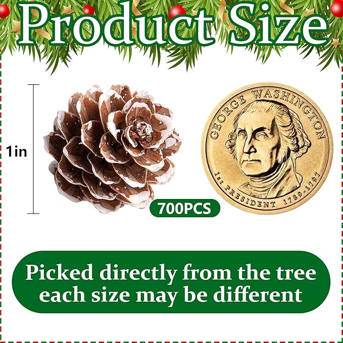Deloky 700 Pcs Christmas Natural Mini Pine Cones- 1" Small Christmas Snow Pinecones Ornaments- Thanksgiving Mini Snow Pinecones for DIY Crafts Vase Fillers Fall Winter Home Christmas Tree Decor