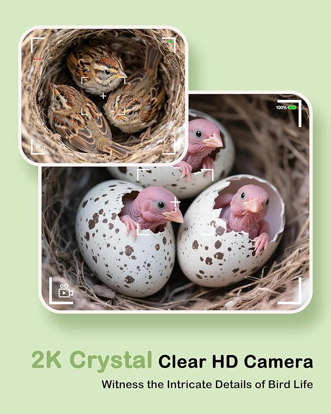 Bird House with Camera,2K HD No-Glow Night Vision,Isolated Camera Bay & 3 Entry Panels,Motion Alerts, Solar Powered Bird Nest Box for Backyard Bird Watching