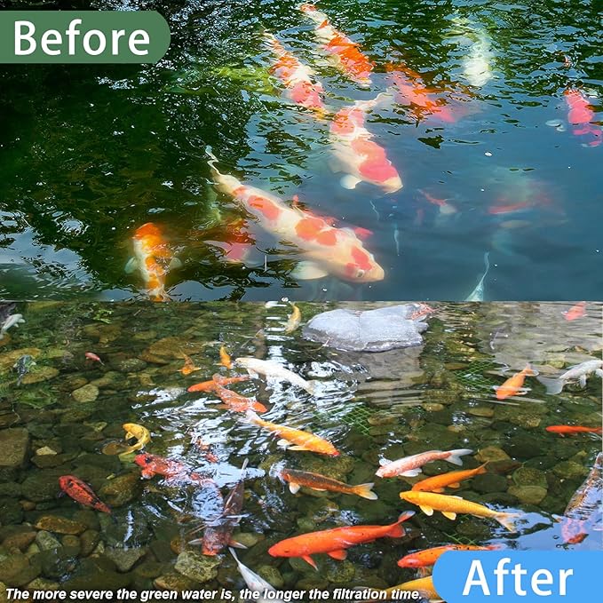 55W Pond UV Light for 500-5000 Gallon, Aquarium UV Light, UV Water Clarifier for Pond, Cold Plunge, Koi Pond, Aquarium, Swimming Pool and Fish Tank for Algae Control