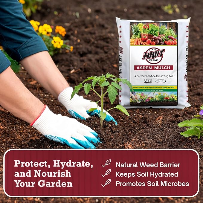 Brut Organic Aspen Mulch 1 CU FT – Natural Moisture Retainer & Root Protector – Odor-Free, Nutrient-Rich Bark Mulch for Landscaping, Garden Beds & Potted Plants