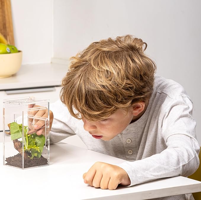 EctoTherm Jumping Spider Enclosure - Complete Acrylic Terrarium Habitat for Spiders, Tarantulas, Praying Mantis - Small Spider House with Front Opening Door - Bug Enclosure for Arboreal Species