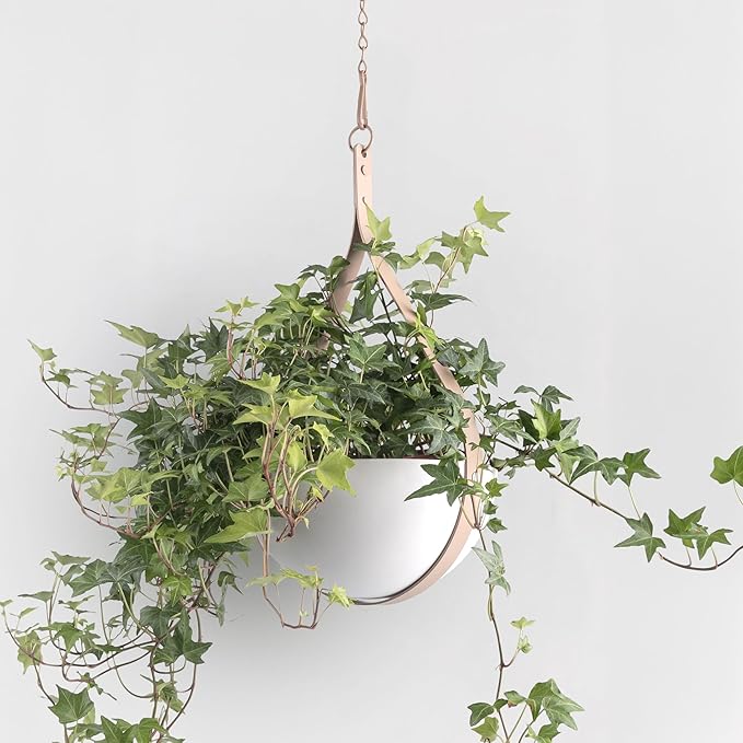Hajia Waterdrop Shaped Hanging Planter, Metal Plant Hanger with Non-Detachable Pot, Hanging Plant Holder for Wall and Ceiling Decor.(No Plants and Drainage Holes) (Beige, Medium 1 Pack)